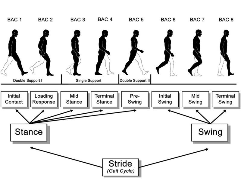 🚶‍♀️Gait analysis 🚶