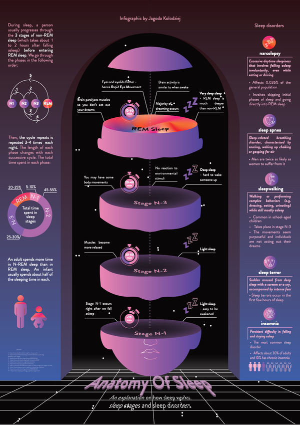 💤🛏️ The Importance of Sleeping 🛏️💤